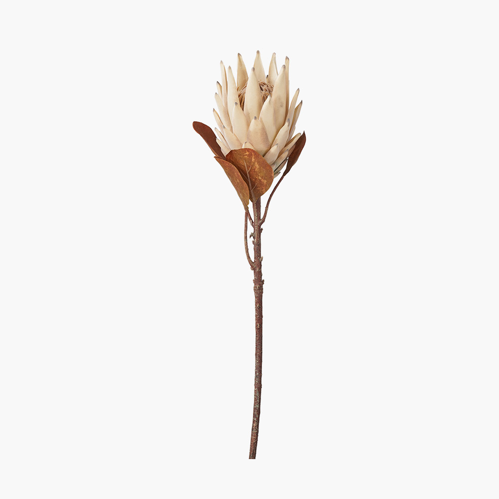Apricot artificial protea stem