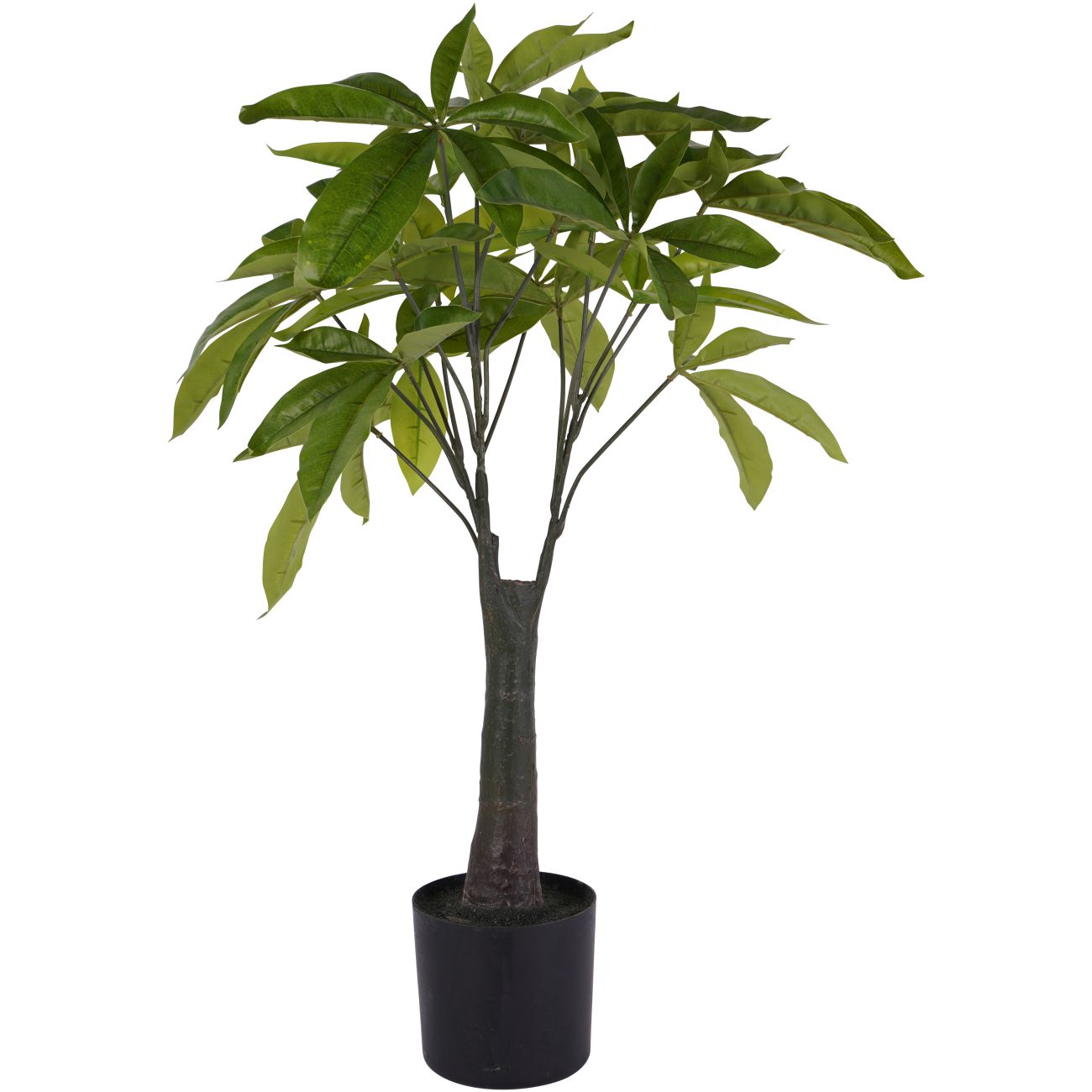Artificial Pachira money plant