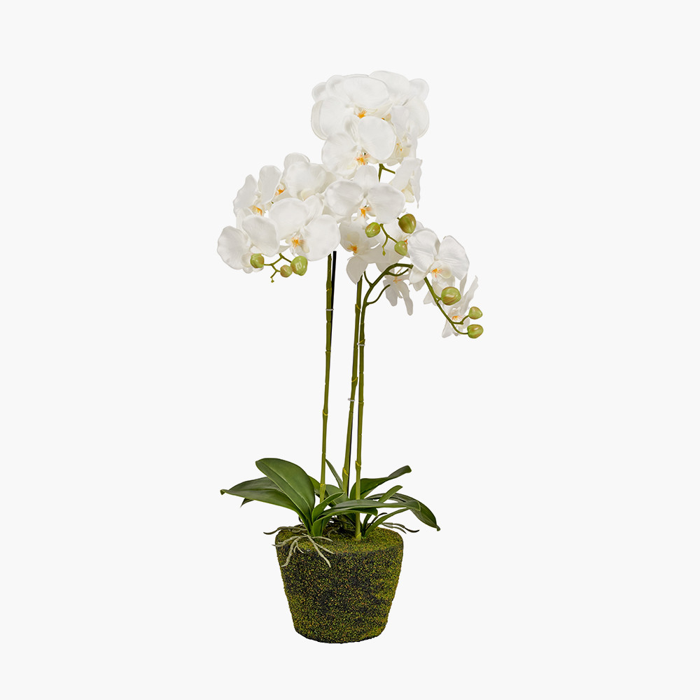 Faux plants