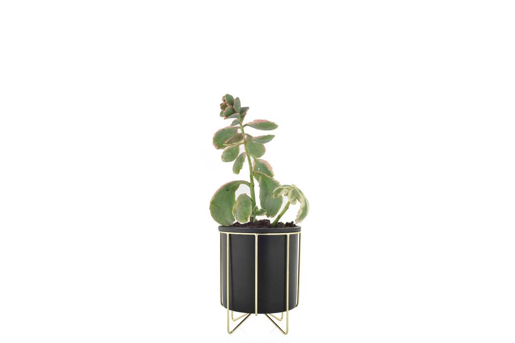 Plant stands